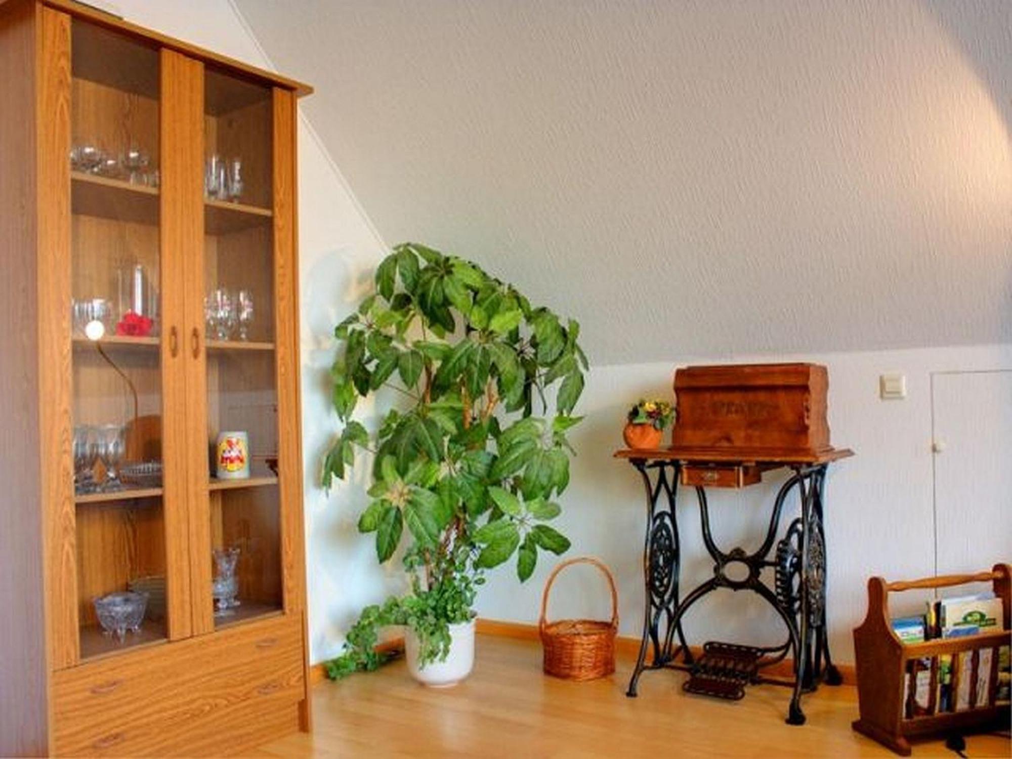 Haus Wehrle Apartment Breisach Ngoại thất bức ảnh